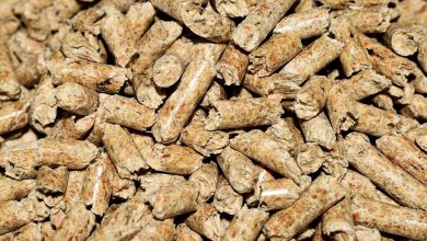 Photo of Best Smoker Pellets in 2021 Reviewed